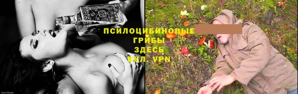 PSILOCYBIN Волосово