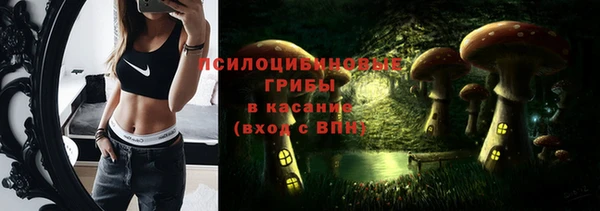 ALPHA PVP Переславль-Залесский