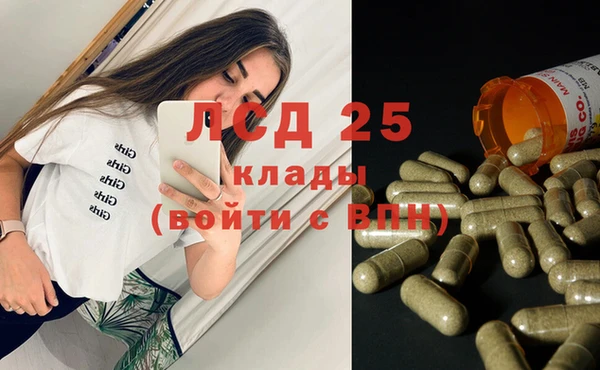 ПСИЛОЦИБИНОВЫЕ ГРИБЫ Верхнеуральск