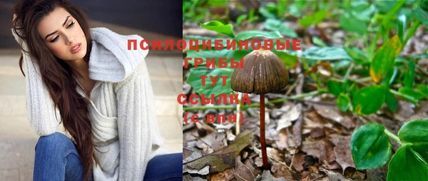 таблы Верхний Тагил
